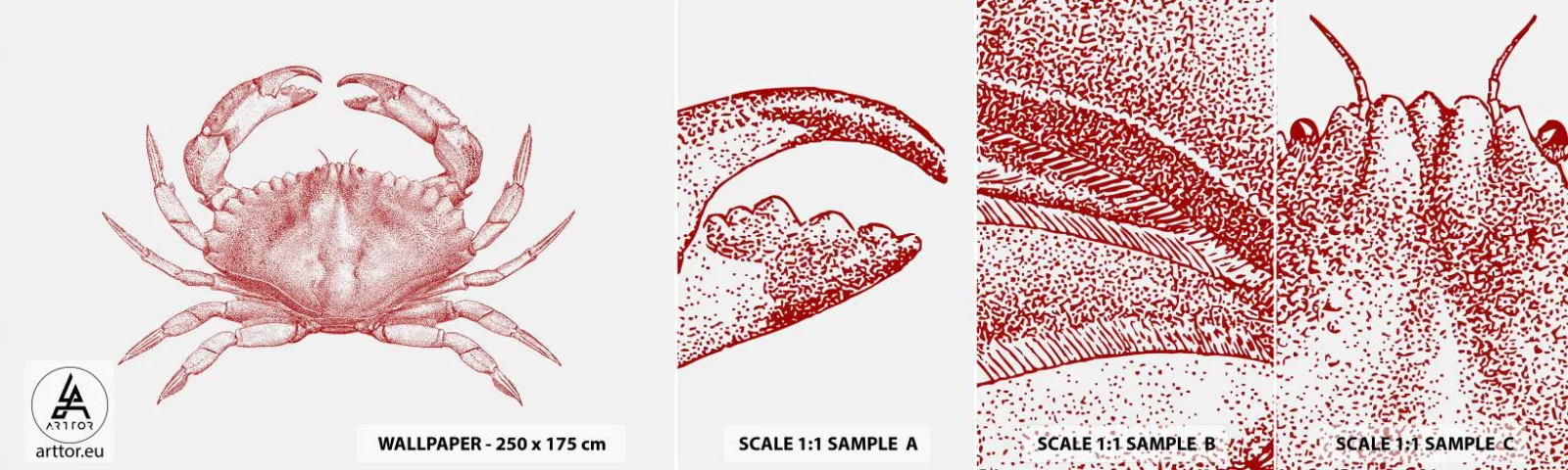 Échantillon de Papier Peint Autocollant Deluxe Sticker - Le crabe des crabes - Crabe, Fruit de mer, Fruits de mer - 100x30 cm