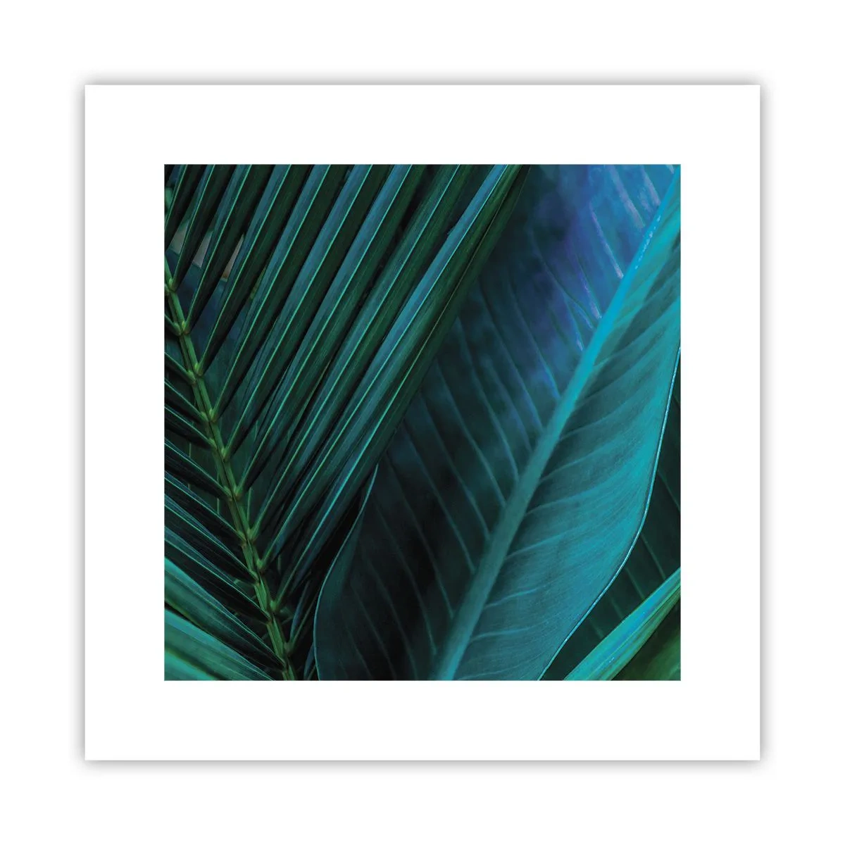 Affiche - Poster - L'anatomie du vert - 30x30 cm