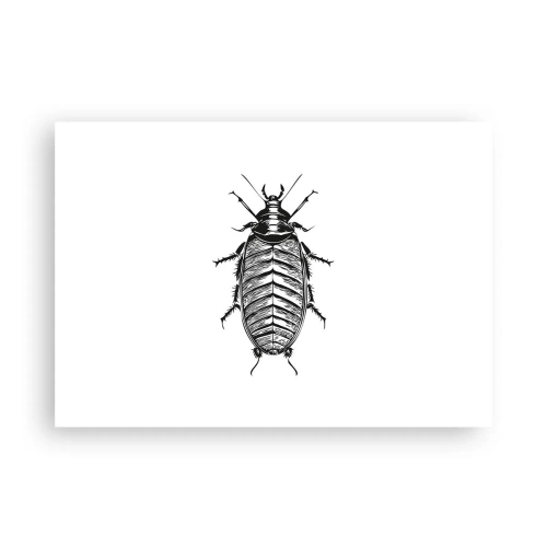 Affiche - Poster - Graphique d'un insecte noir et blanc sur fond blanc - 100x70cm - Quel spécimen! - Décoration murale moderne pour le salon et la chambre ARTTOR