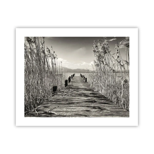 Affiche - Poster - Dans le calme de l'herbe - 50x40 cm