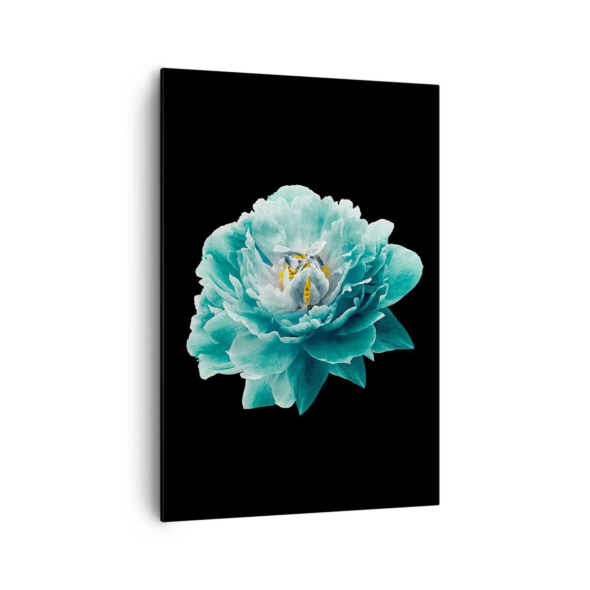 Impression sur toile - Image sur toile - Fleur de pivoine turquoise sur fond noir - 70x100cm - Pétales bleus et dorés - Décoration murale moderne pour le salon et la chambre ARTTOR