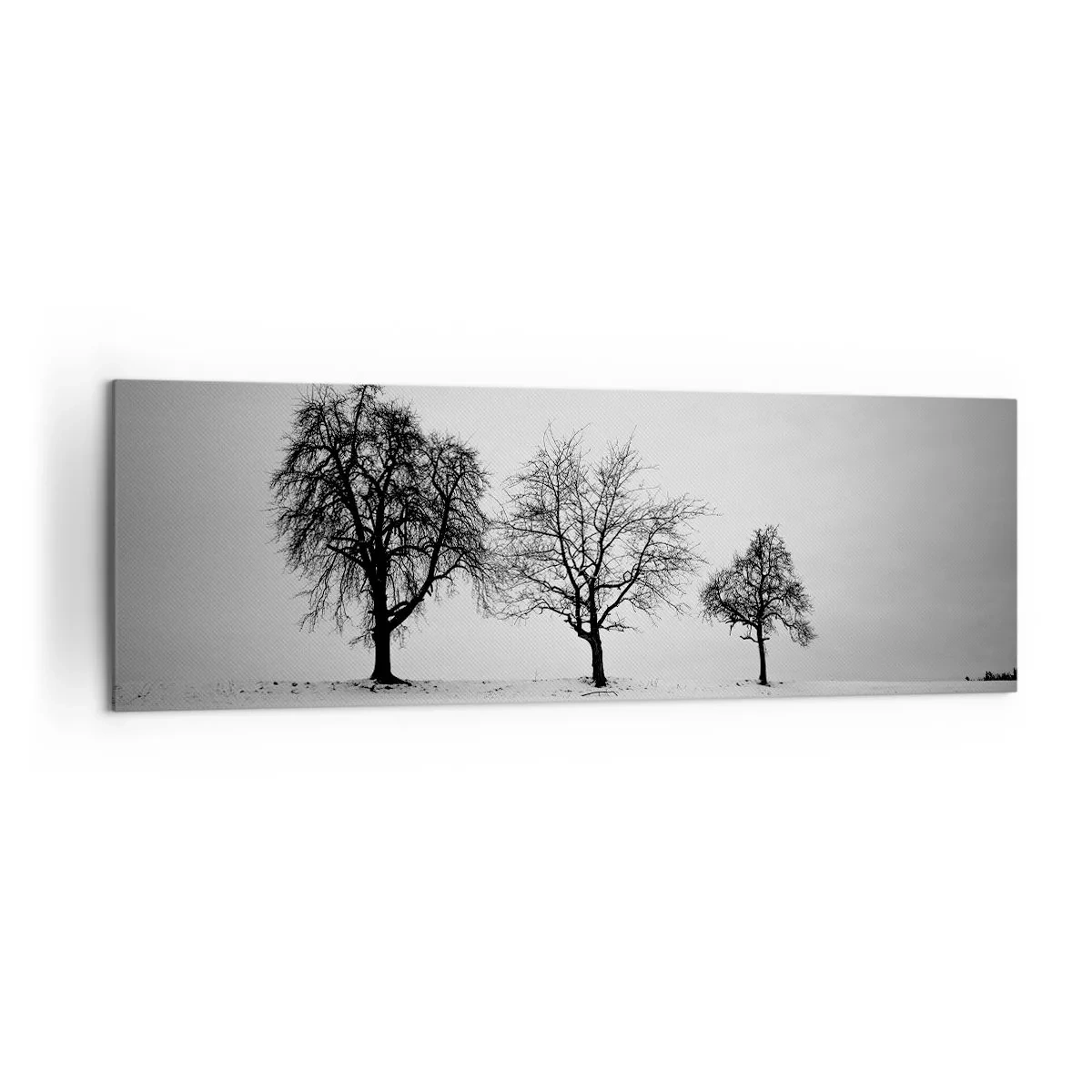 Impression sur toile - Image sur toile - Trois arbres dans un champ enneigé dans un style monochrome - 160x50cm - A quoi rêvent-ils? - Décoration murale moderne pour le salon et la chambre ARTTOR