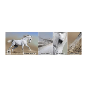 Échantillon de Papier Peint Autocollant Deluxe Sticker - Le plus beau conte de fées arabe - Cheval, Animaux, Galop - 100x30 cm