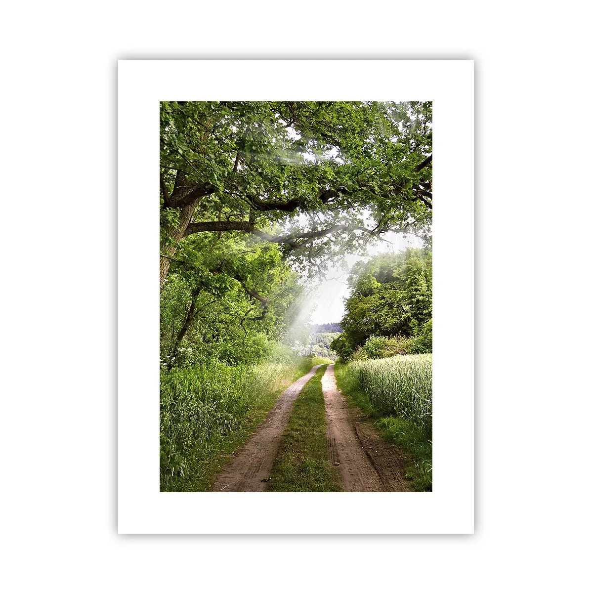 Affiche - Poster - Et in Arcadia ego - 30x40 cm