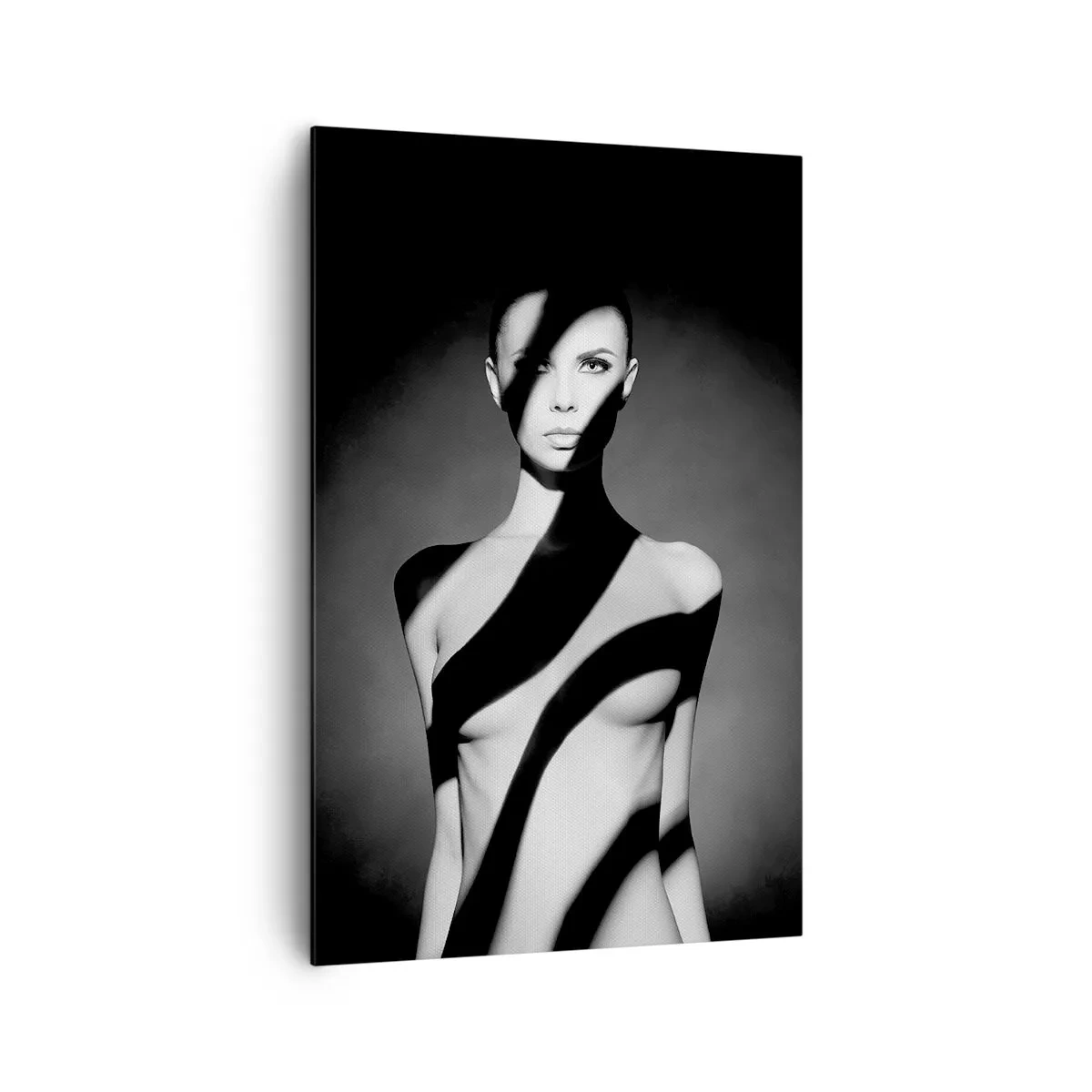 Impression sur toile - Image sur toile - Portrait noir et blanc d'une femme dans l'ombre et la lumière - 80x120cm - Dans la brillance et l'ombre - Décoration murale moderne pour le salon et la chambre ARTTOR
