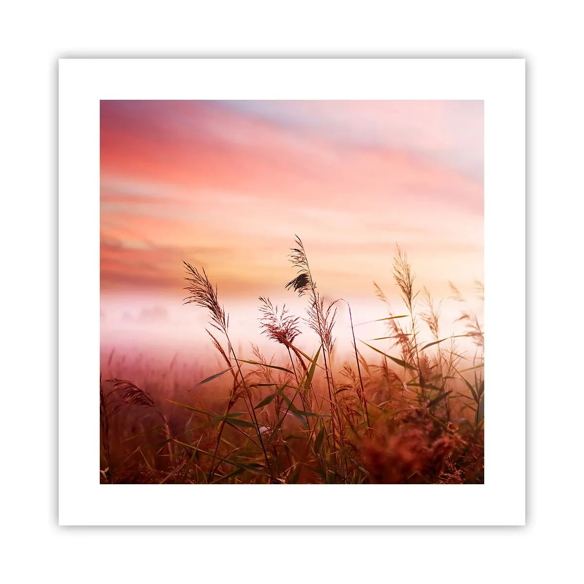 Affiche - Poster - Cerfs-volants, pissenlits, vent - 40x40 cm