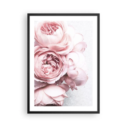 Affiche dans un cadre noir - Poster - Gros plan de délicates fleurs de pivoine rose - 50x70cm - Pour les romantiques - Décoration murale moderne pour le salon et la chambre ARTTOR