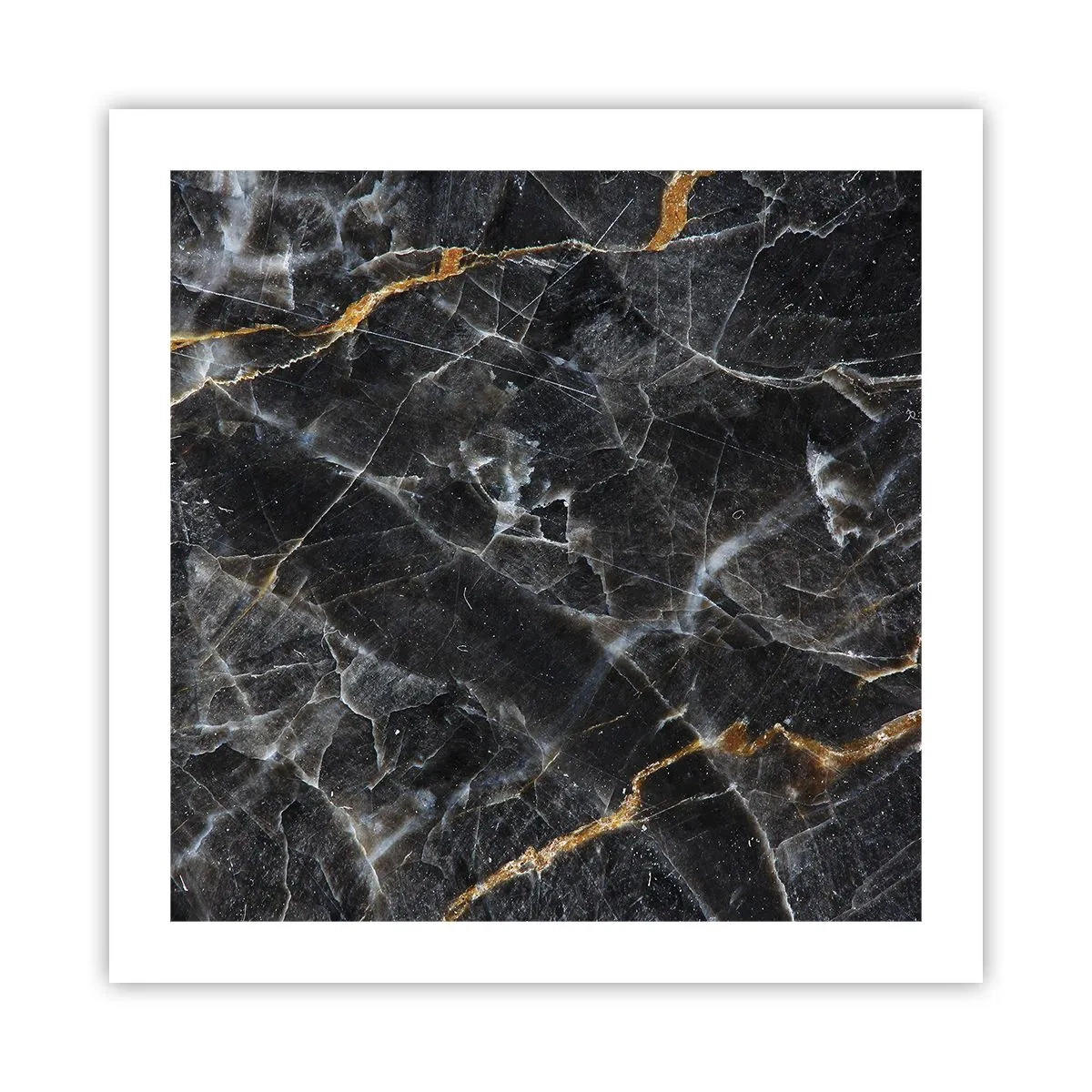 Affiche - Poster - La vie intérieure de la pierre - 50x50 cm