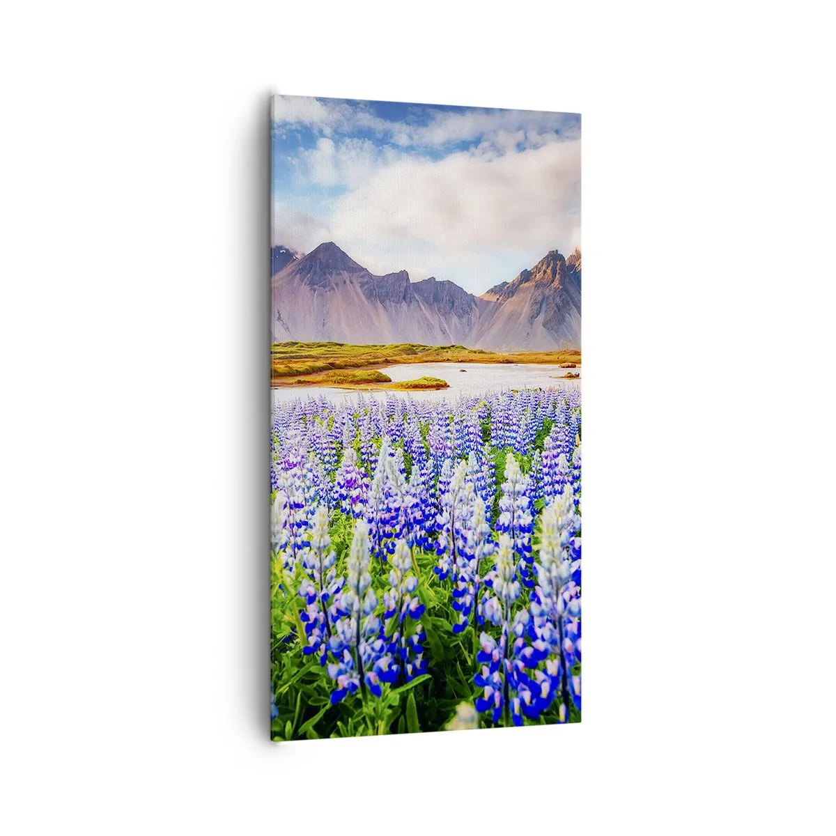 Impression sur toile - Image sur toile - La force et l'austérité côtoient la douceur - 65x120 cm