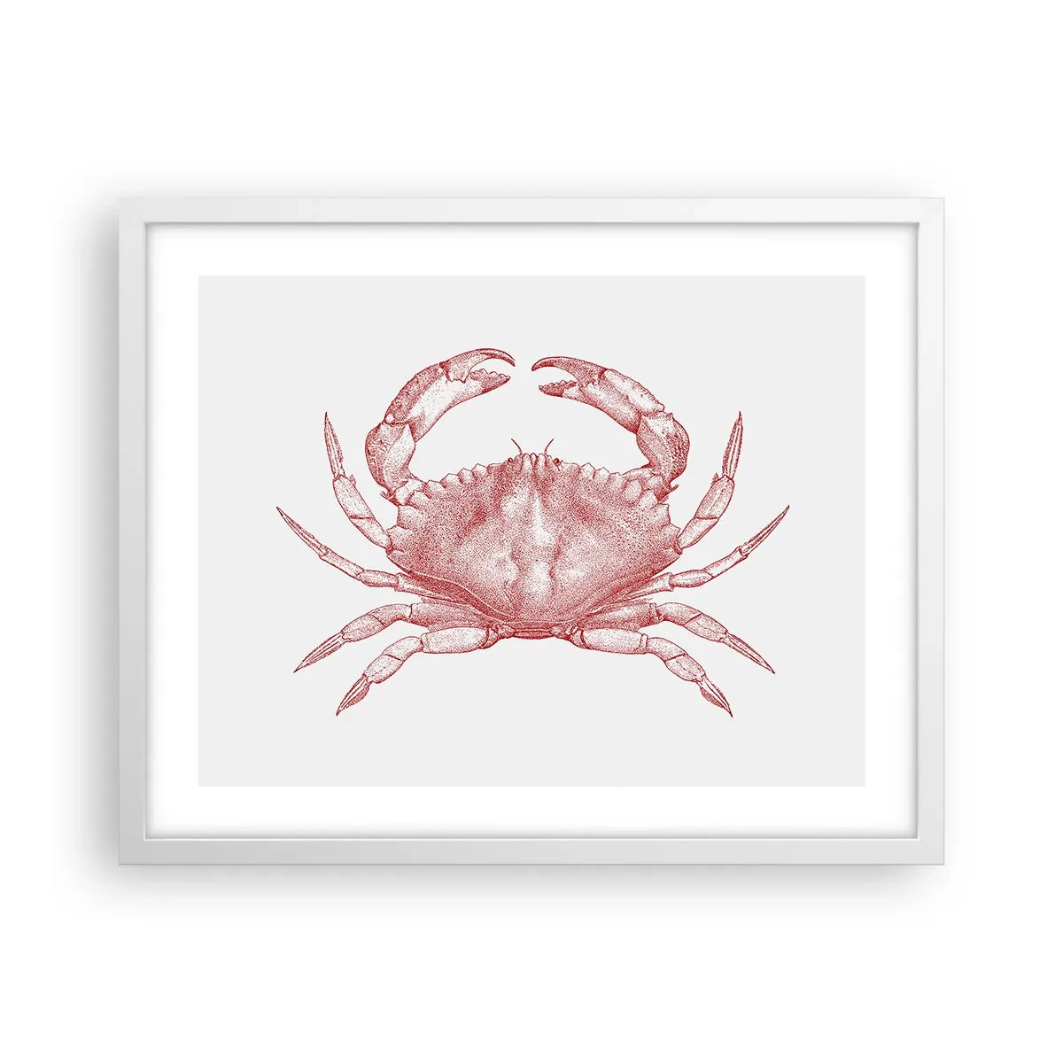 Affiche dans un cadre blanc - Poster - Le crabe des crabes - 50x40 cm