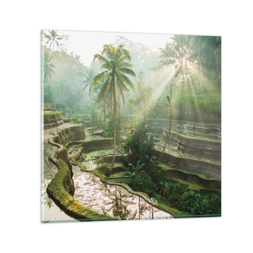 Impression sur verre - Image sur verre - Grandir au soleil - 70x70 cm