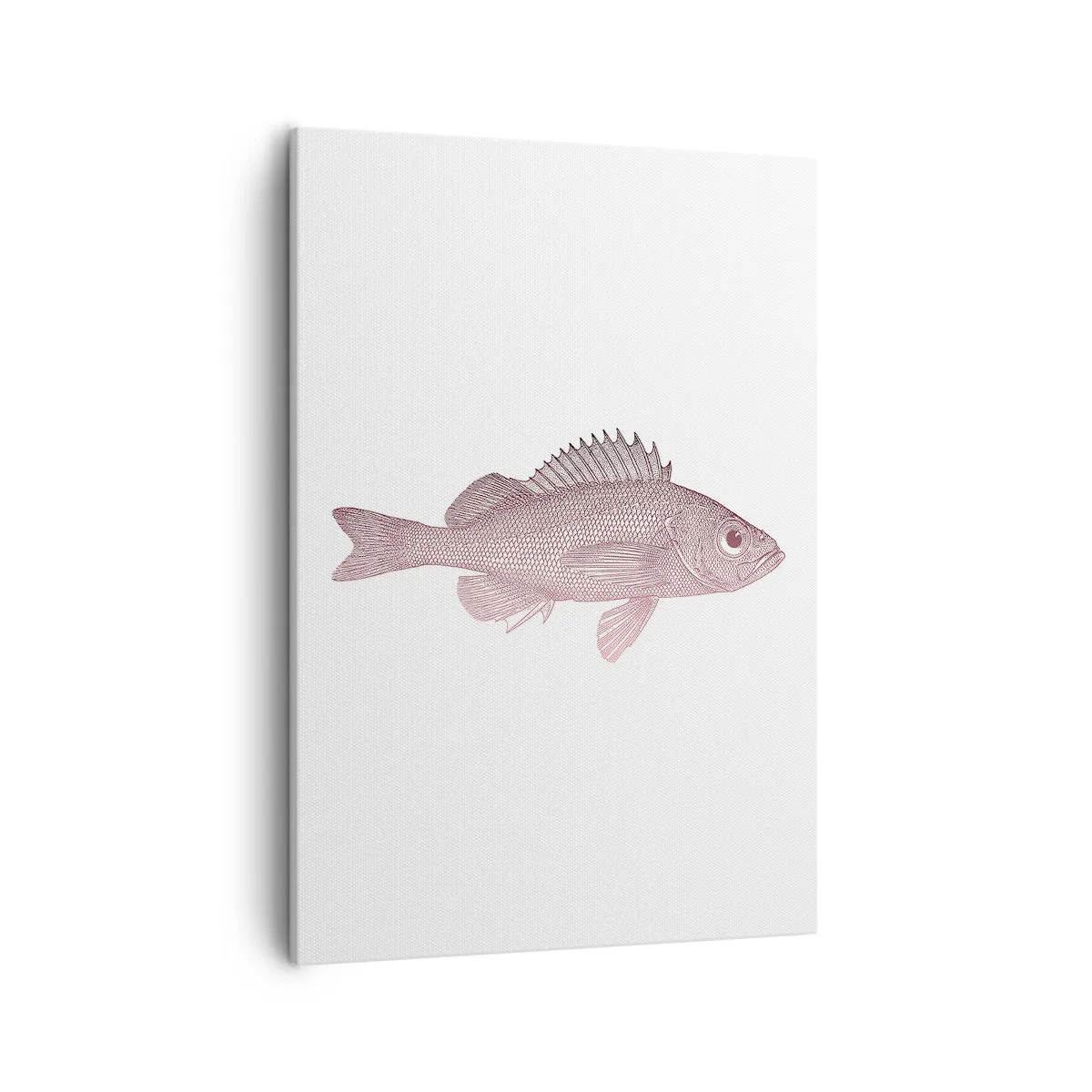 Impression sur toile - Image sur toile - Illustration détaillée d'un poisson sur fond blanc - 50x70cm - Poisson aux grands yeux - Décoration murale moderne pour le salon et la chambre ARTTOR