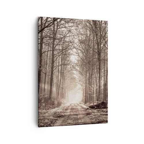 Impression sur toile - Image sur toile - Un chemin forestier parmi des arbres aux tons sépia - 50x70cm - Cathédrale de la forêt - Décoration murale moderne pour le salon et la chambre ARTTOR