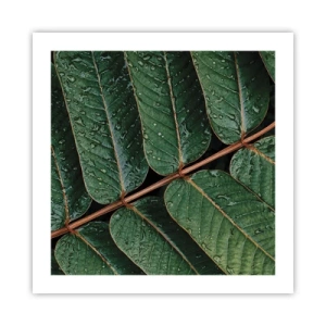 Affiche - Poster - Au rythme de la verdure - 50x50 cm