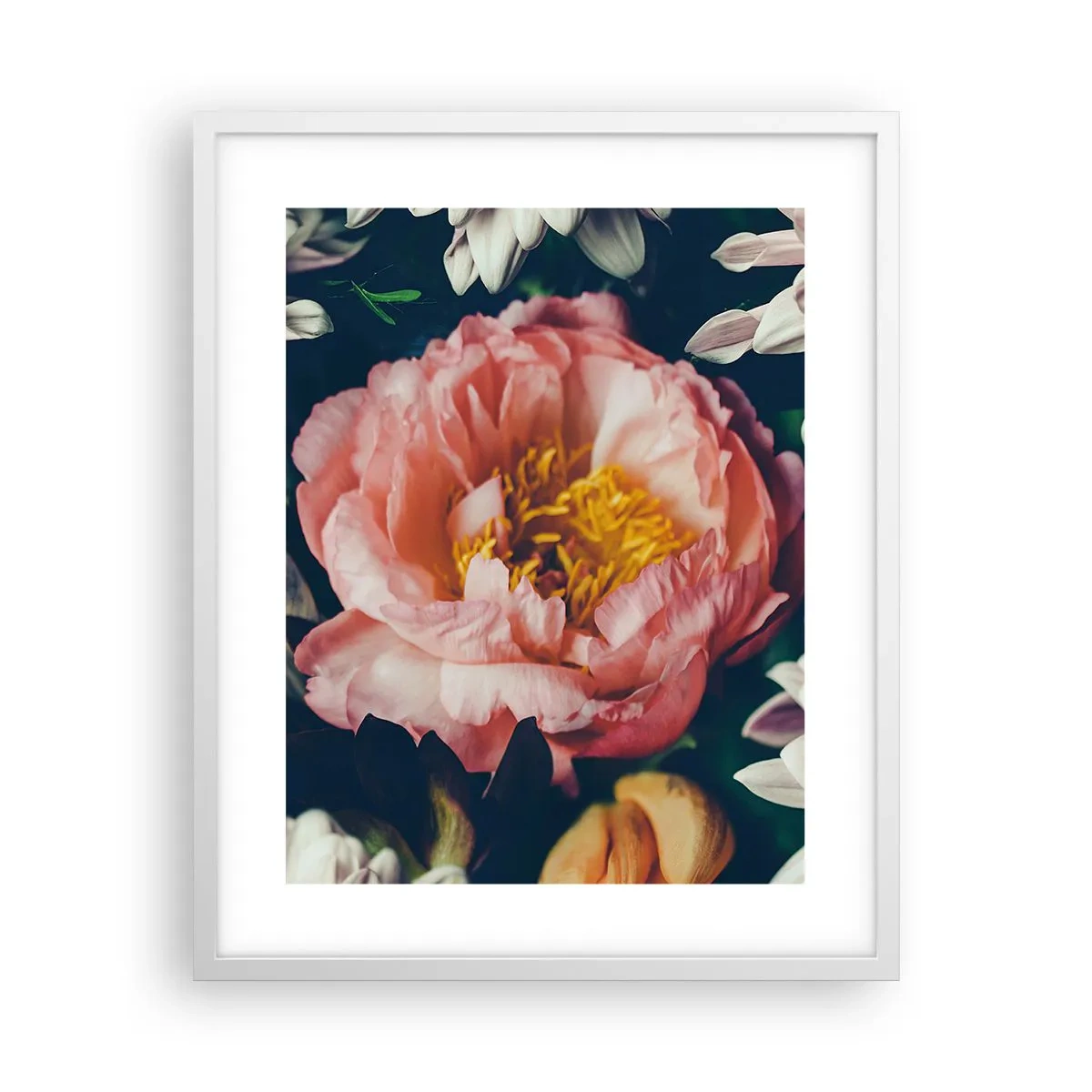 Affiche dans un cadre blanc - Poster - Splendeur baroque - 40x50 cm