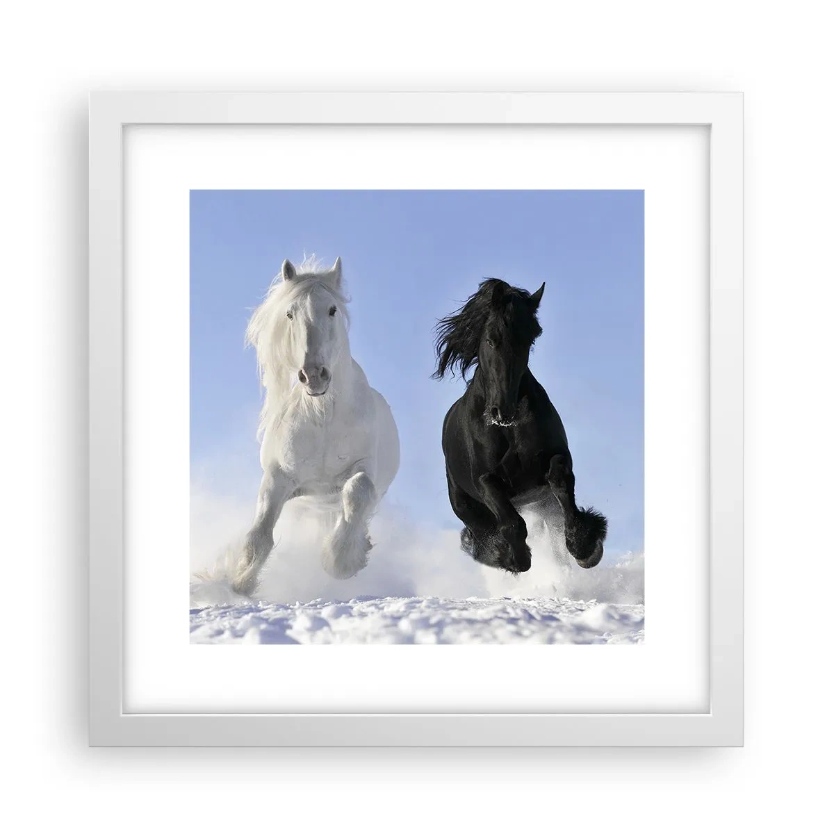 Affiche dans un cadre blanc - Poster - Galop noir et blanc - 30x30 cm