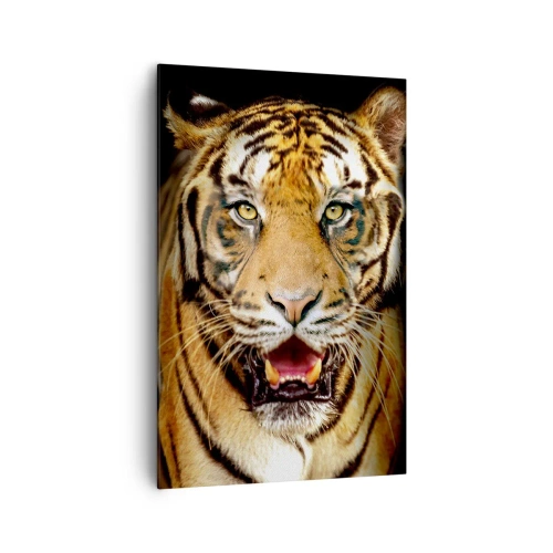 Impression sur toile - Image sur toile - Un tigre avec la gueule ouverte sur un fond noir - 80x120cm - Le coeur sauvageon - Décoration murale moderne pour le salon et la chambre ARTTOR