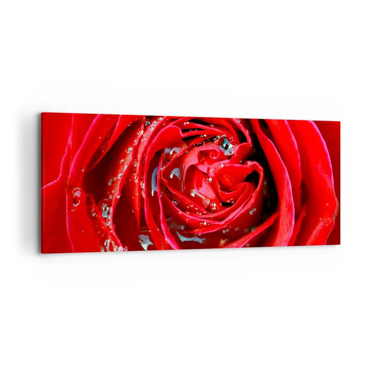 Impression sur toile - Image sur toile - Gros plan d'une rose rouge avec des gouttes d'eau sur les pétales - 120x50cm - Dans les gouttes de rosée - Décoration murale moderne pour le salon et la chambre ARTTOR