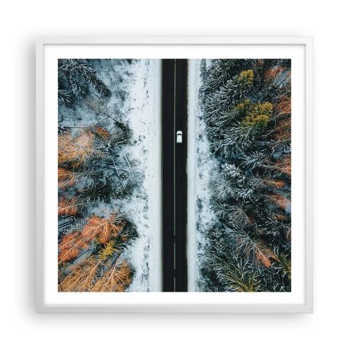Affiche dans un cadre blanc - Poster - Couper à travers la forêt d'hiver - 60x60 cm