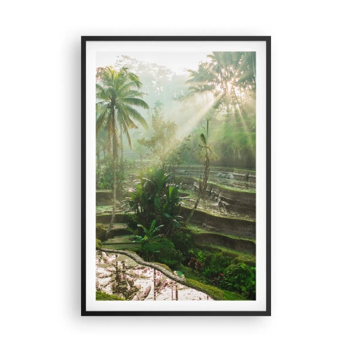 Affiche dans un cadre noir - Poster - Grandir au soleil - 61x91 cm