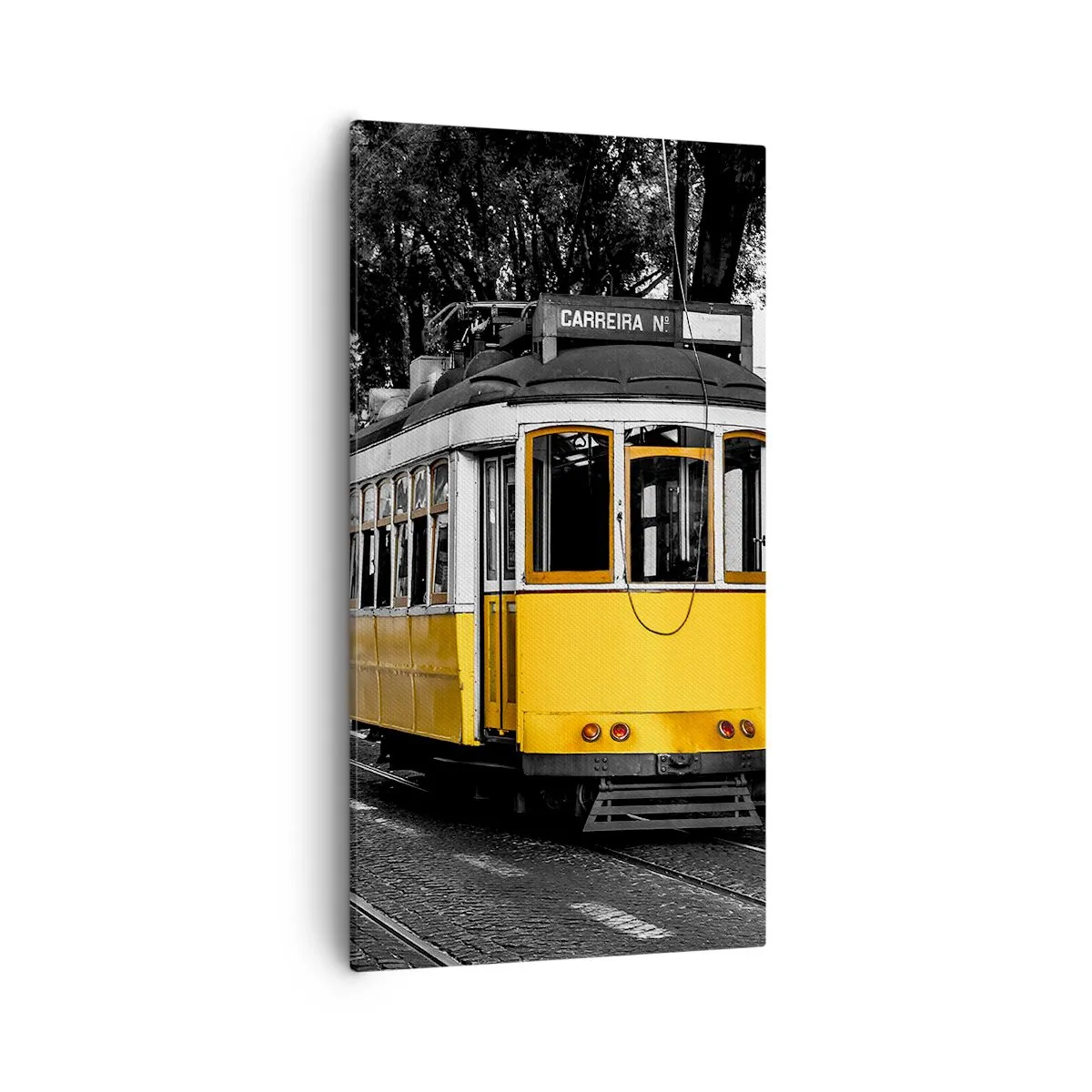 Impression sur toile - Image sur toile - Et du fado en arrière-plan - 55x100 cm