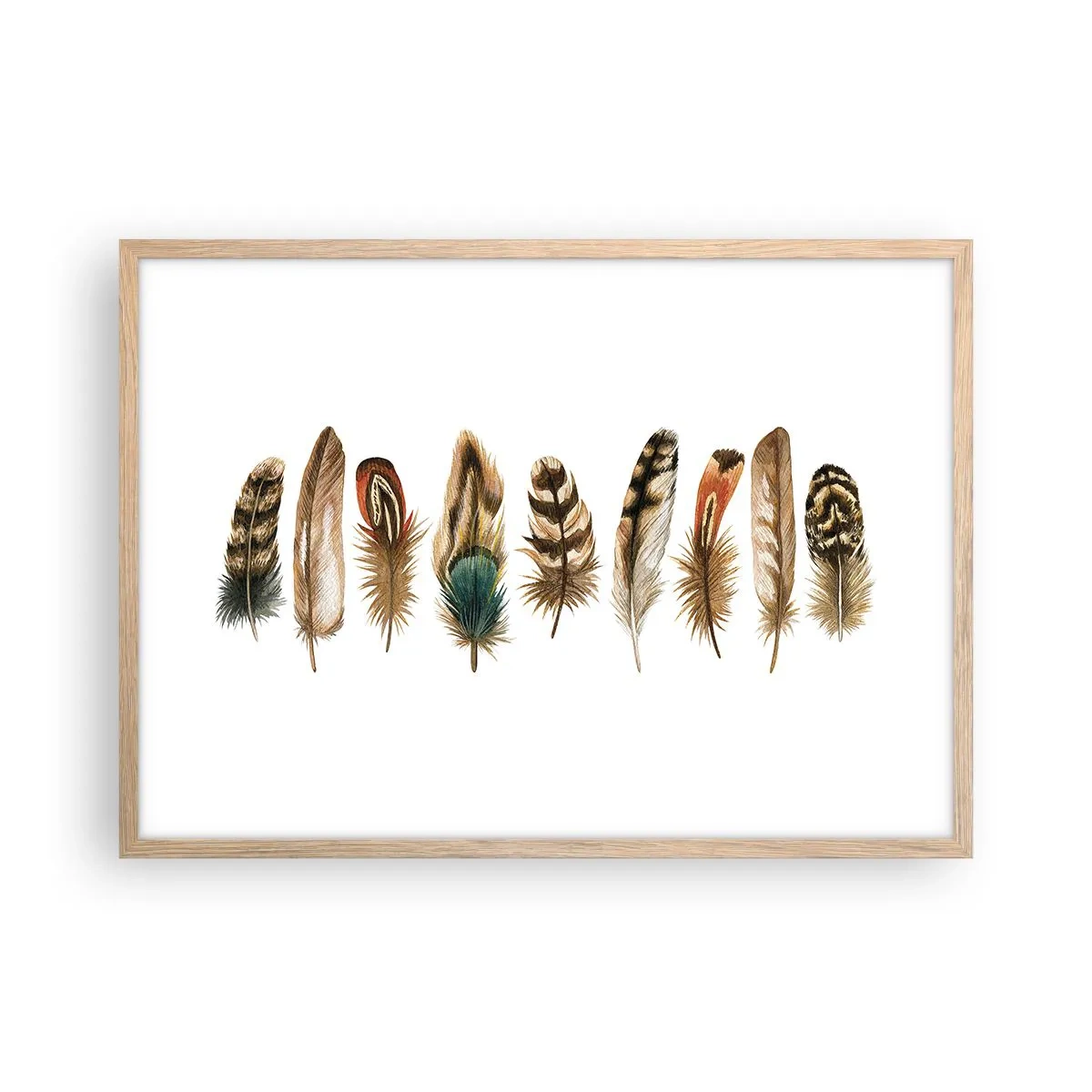 Affiche dans un chêne clair - Poster - Variation à plumes - 70x50 cm