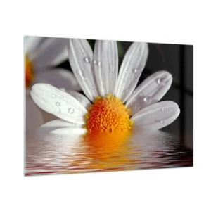 Impression sur verre - Image sur verre - Une marguerite avec des gouttes d'eau se reflétant dans l'eau - 100x70cm - Le soleil levant des marguerites - Décoration murale moderne pour le salon et la chambre ARTTOR