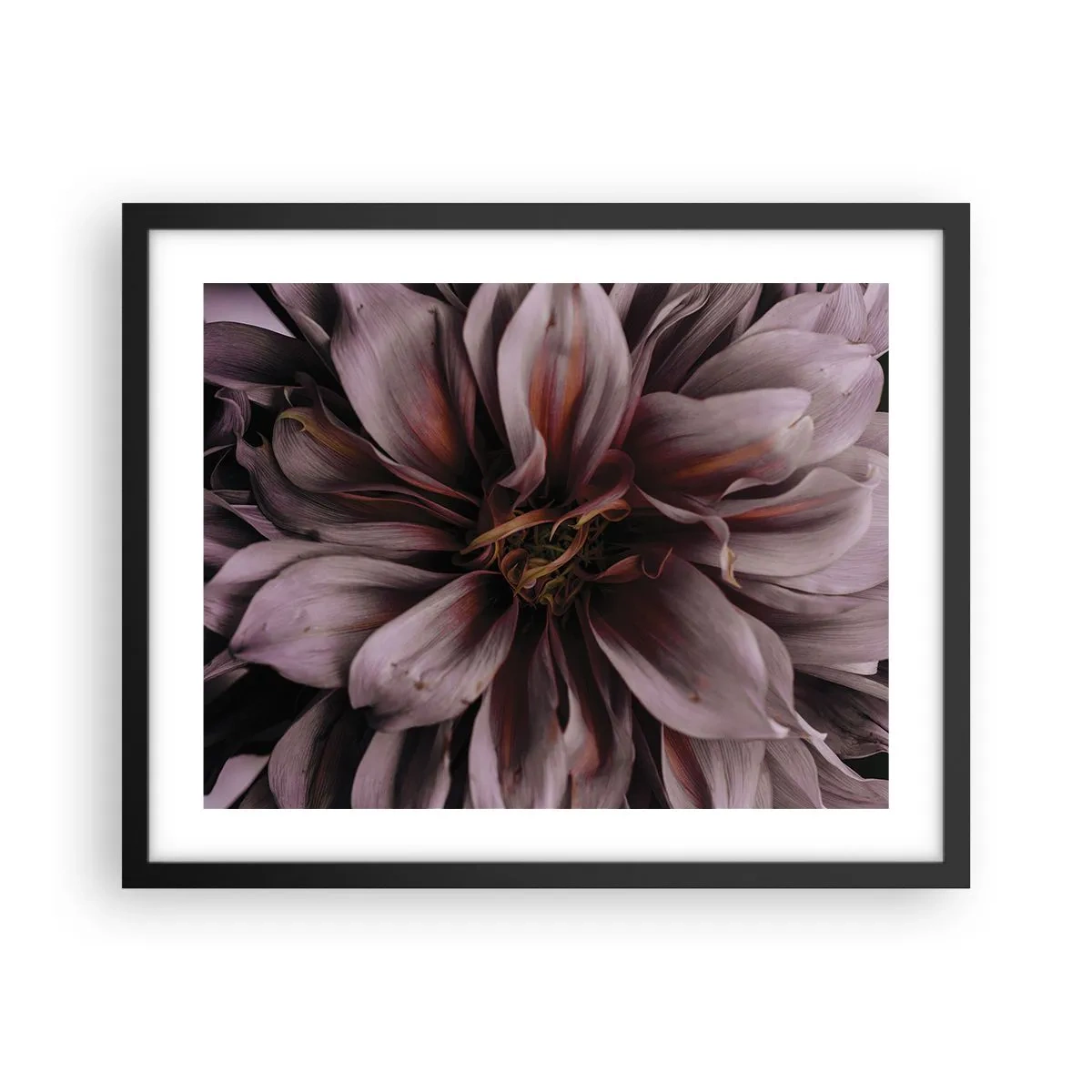 Affiche dans un cadre noir - Poster - Un coeur fleuri - 50x40 cm