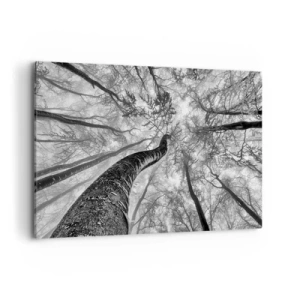 Impression sur toile - Image sur toile - Perspective d'arbres dans une forêt vue d'en bas en nuances de gris - 120x80cm - Course vers la lumière - Décoration murale moderne pour le salon et la chambre ARTTOR