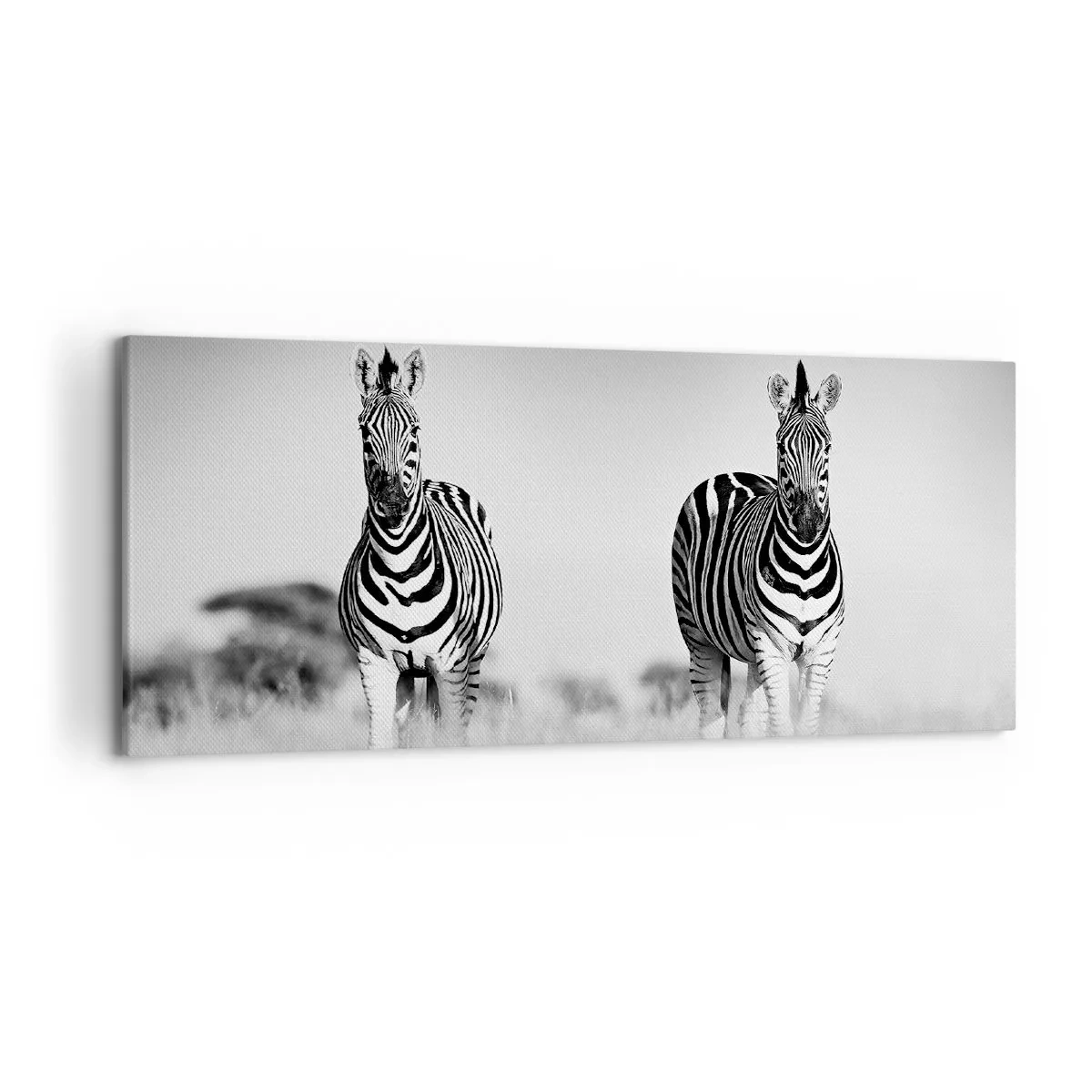 Impression sur toile - Image sur toile - Deux zèbres dans la savane dans un style monochrome - 120x50cm - Le monde est bel et bien noir et blanc - Décoration murale moderne pour le salon et la chambre ARTTOR