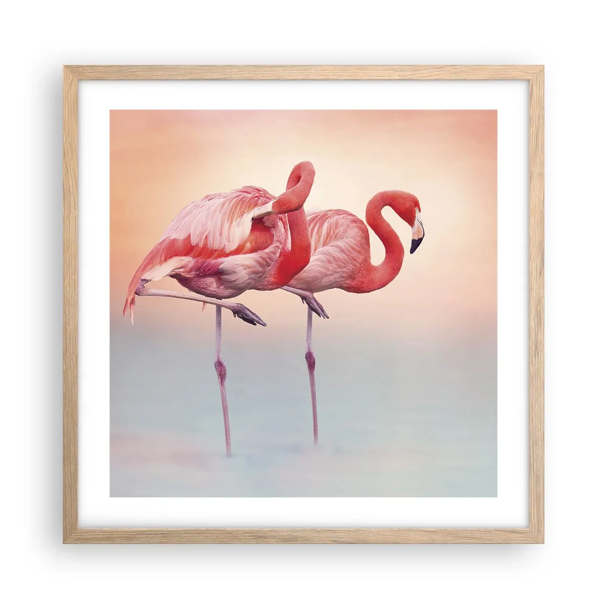 Affiche dans un chêne clair - Poster - Dans les couleurs du soleil couchant - 50x50 cm