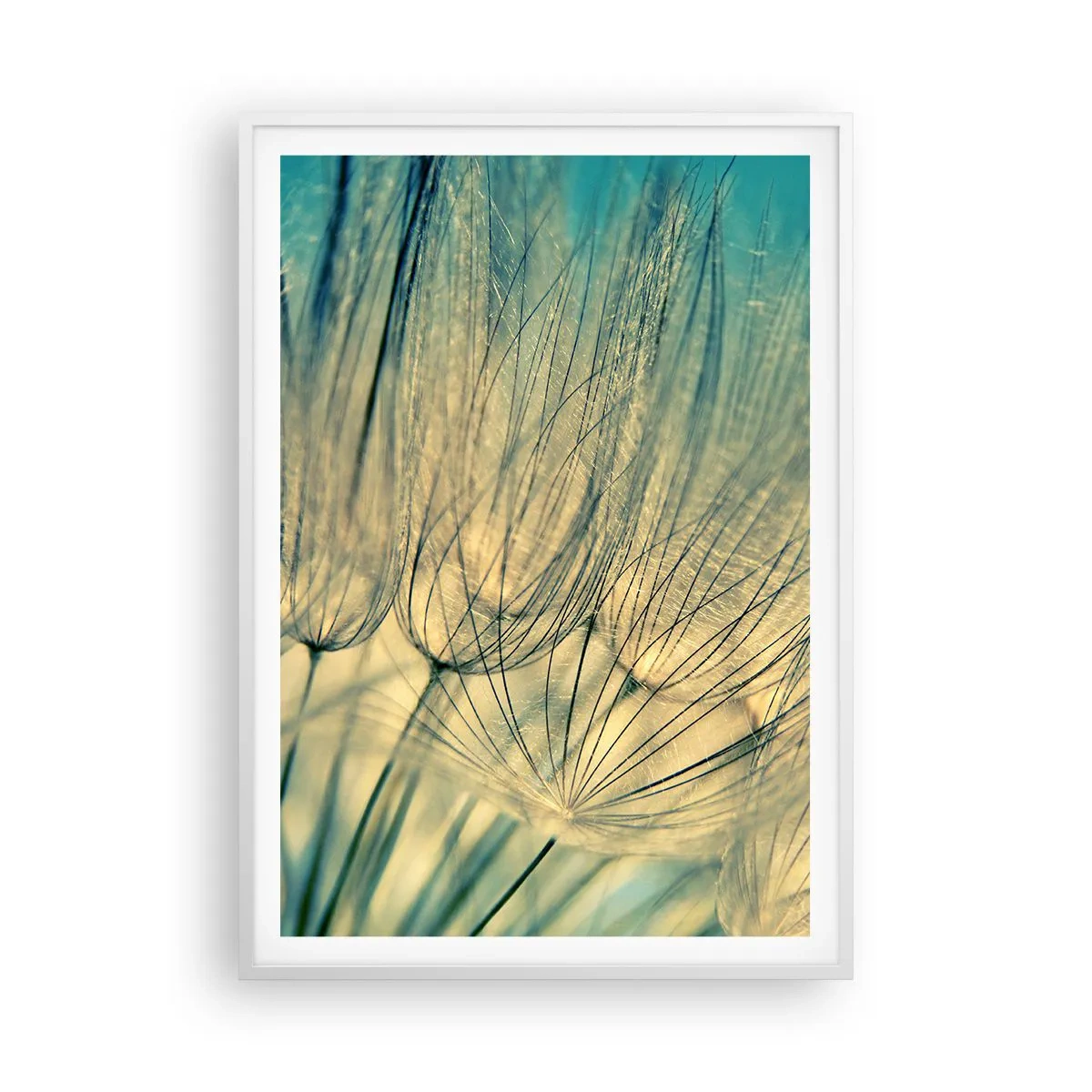 Affiche dans un cadre blanc - Poster - En attente du vent - 70x100 cm