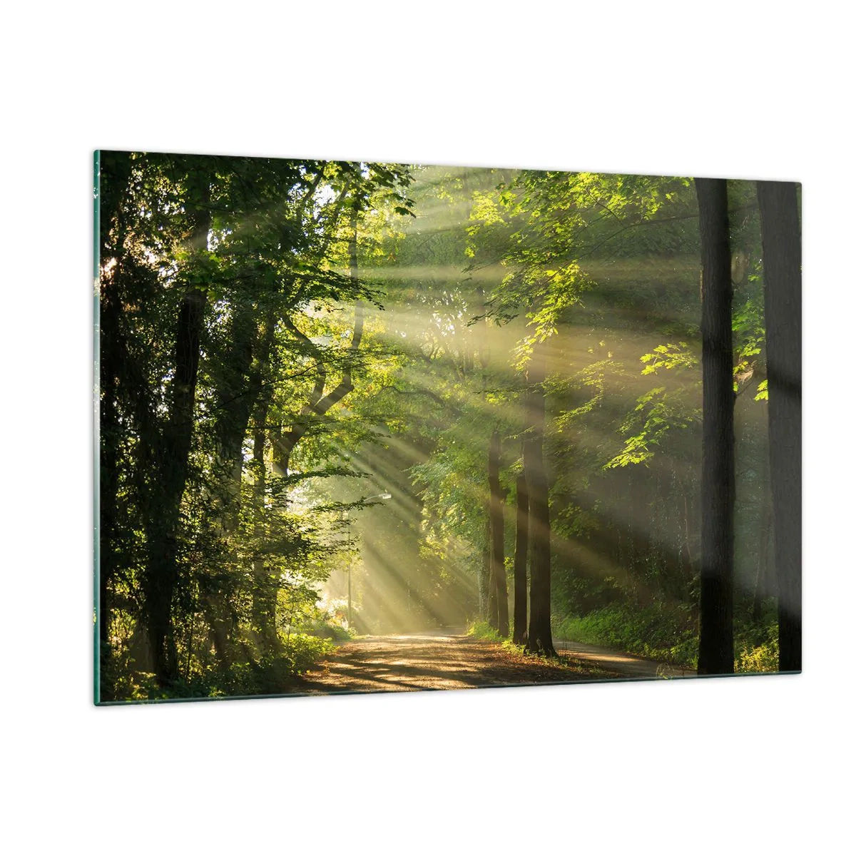 Impression sur verre - Image sur verre - Un chemin forestier illuminé par les rayons du soleil - 120x80cm - Moment de forêt - Décoration murale moderne pour le salon et la chambre ARTTOR