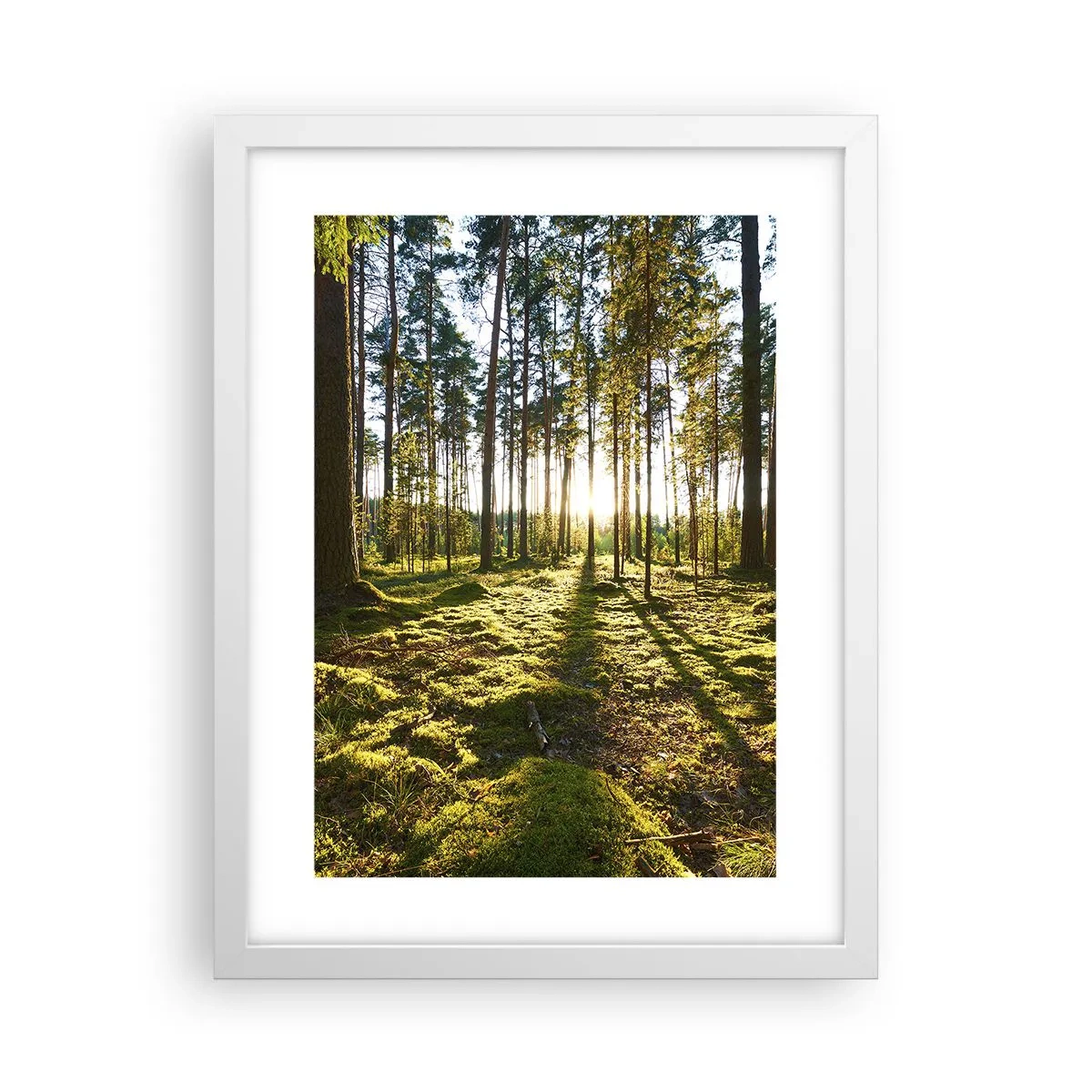 Affiche dans un cadre blanc - Poster - … Derrière les sept forêts - 30x40 cm