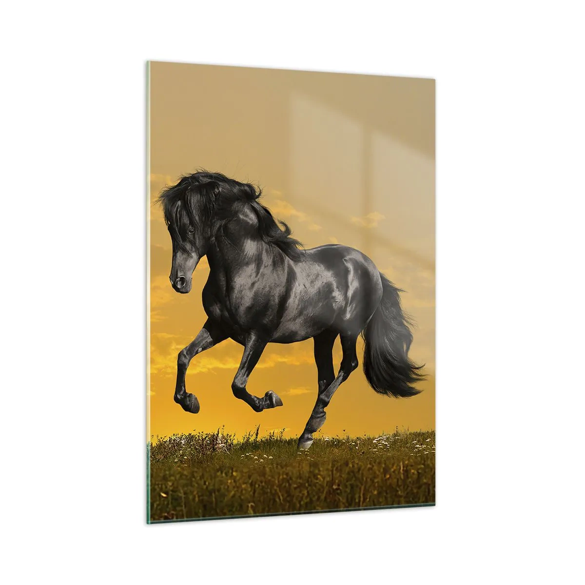 Impression sur verre - Image sur verre - Un cheval noir galopant contre le soleil couchant - 50x70cm - Beau, libre et sauvage - Décoration murale moderne pour le salon et la chambre ARTTOR