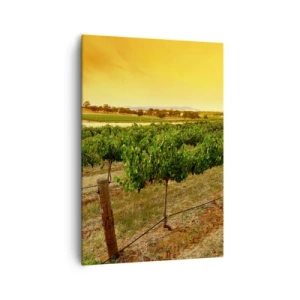 Impression sur toile - Image sur toile - Vignes dans une plantation au coucher du soleil doré - 70x100cm - S'abreuver du soleil - Décoration murale moderne pour le salon et la chambre ARTTOR