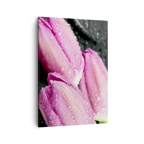 Impression sur toile - Image sur toile - Trois tulipes roses avec des gouttes d'eau sur fond noir - 50x70cm - Lilas trois sur une pierre noire - Décoration murale moderne pour le salon et la chambre ARTTOR