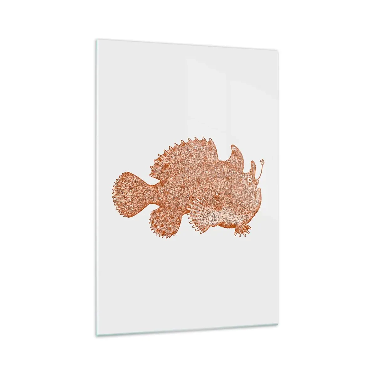 Impression sur verre - Image sur verre - Dessin détaillé d'un poisson cuivré sur fond blanc - 70x100cm - Et pourtant un poisson - Décoration murale moderne pour le salon et la chambre ARTTOR