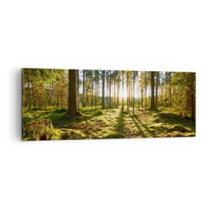 Impression sur toile - Image sur toile - Forêt verte illuminée par la lumière du soleil sur la mousse - 140x50cm - … Derrière les sept forêts - Décoration murale moderne pour le salon et la chambre ARTTOR