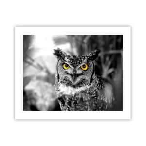 Affiche - Poster - Rien ne se cachera - 50x40 cm