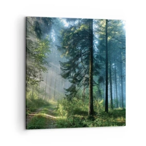 Impression sur toile - Image sur toile - Rayonnant le matin - 60x60 cm