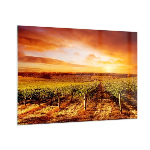 Impression sur verre - Image sur verre - Vignes dans un champ au coucher du soleil - 100x70cm - Légèrement fruité avec une pointe de soleil - Décoration murale moderne pour le salon et la chambre ARTTOR