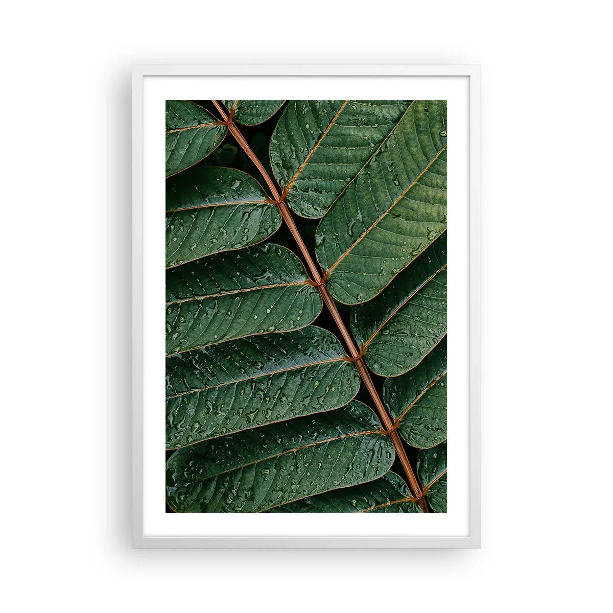 Affiche dans un cadre blanc - Poster - Au rythme de la verdure - 50x70 cm