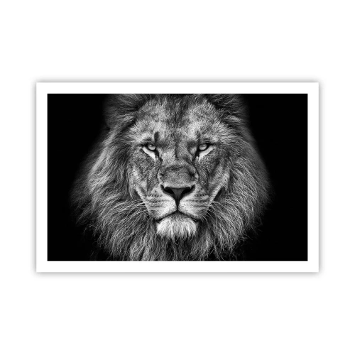 Affiche - Poster - En vêtement de sacre - 91x61 cm