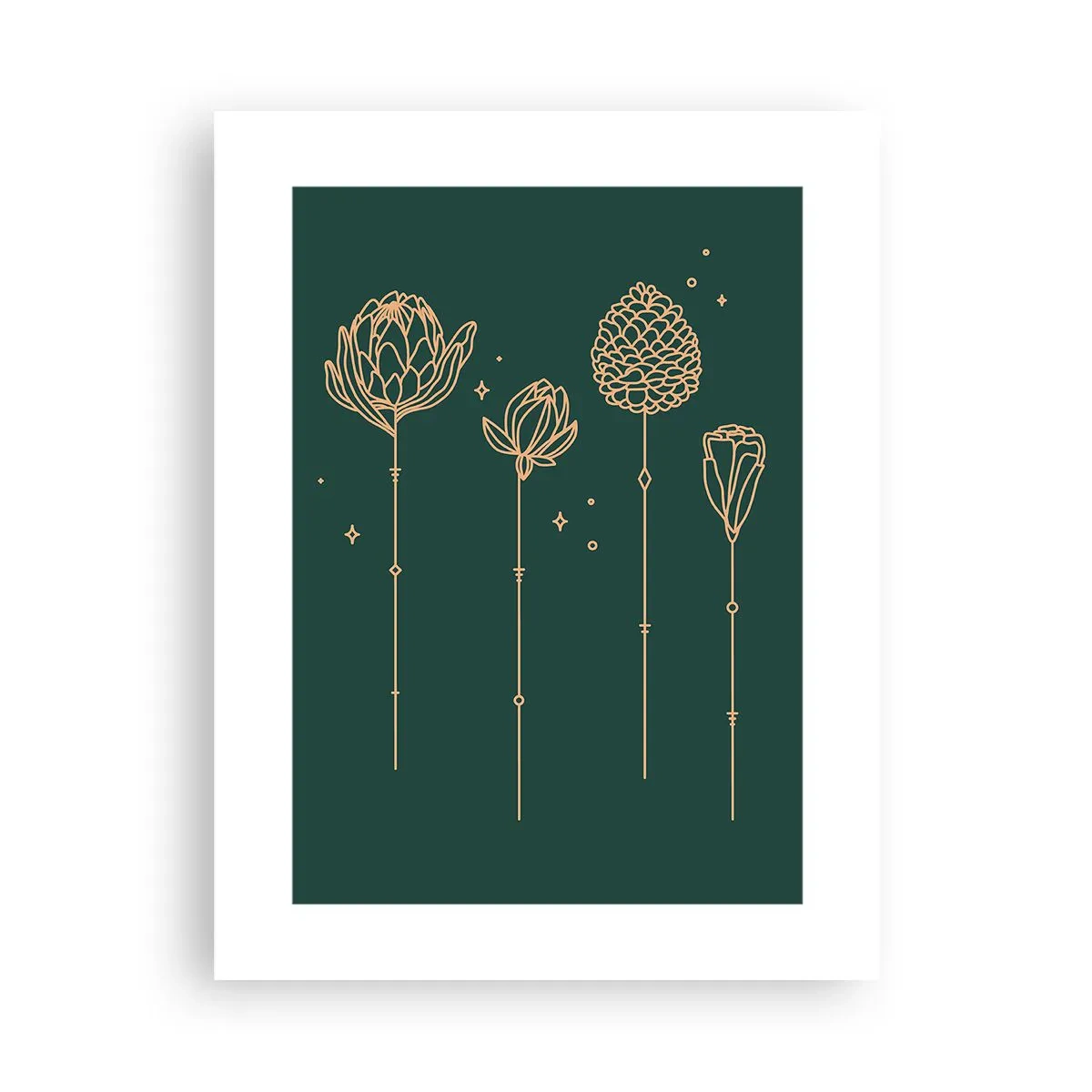 Affiche - Poster - La famille Plante - 30x40 cm