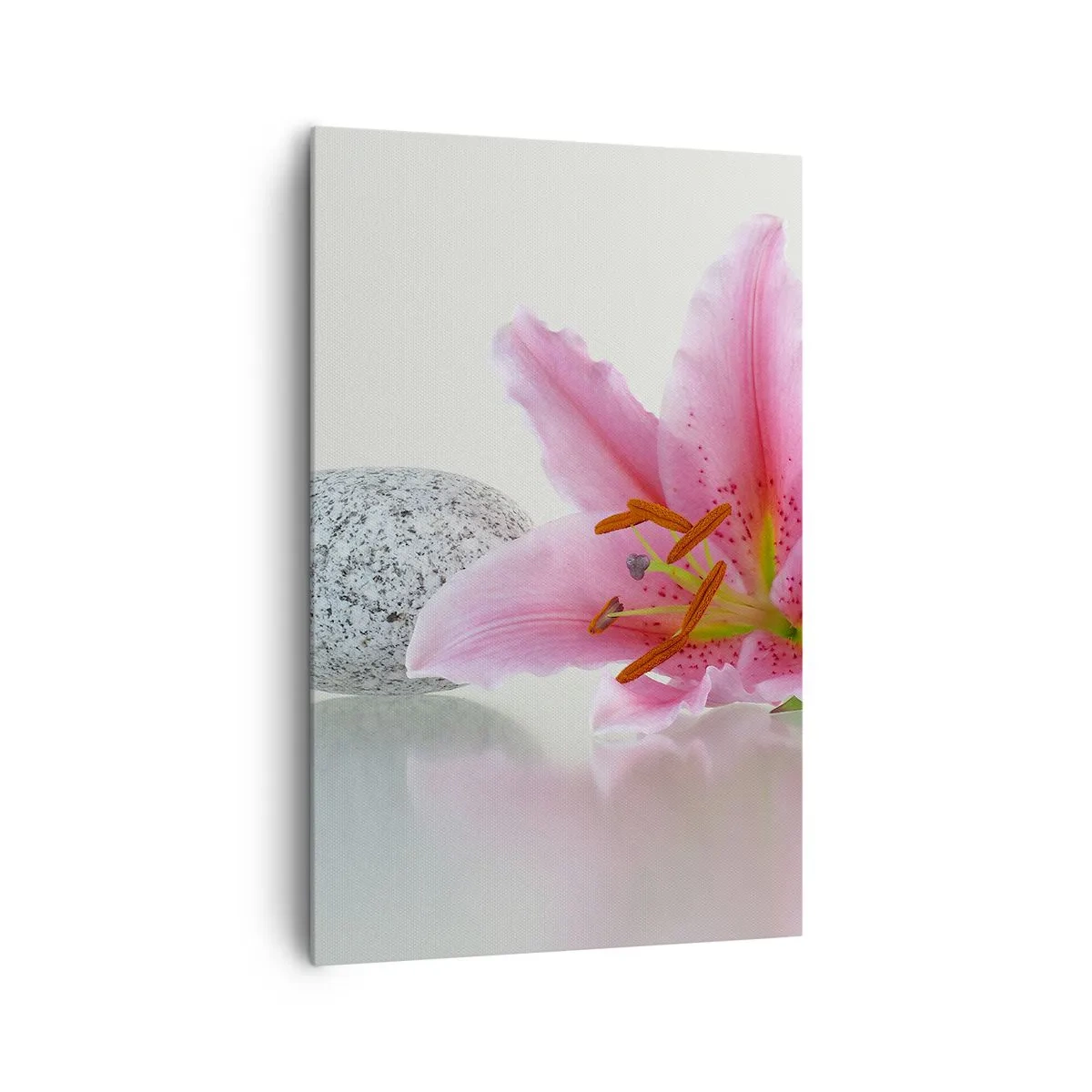 Impression sur toile - Image sur toile - Fleur de lys rose avec des pierres sur un fond clair - 80x120cm - Étude de rose, gris et blanc - Décoration murale moderne pour le salon et la chambre ARTTOR