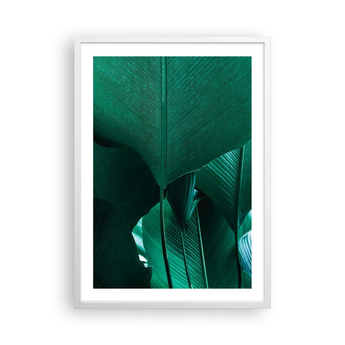 Affiche dans un cadre blanc - Poster - Tourné vers la lumière - 50x70 cm