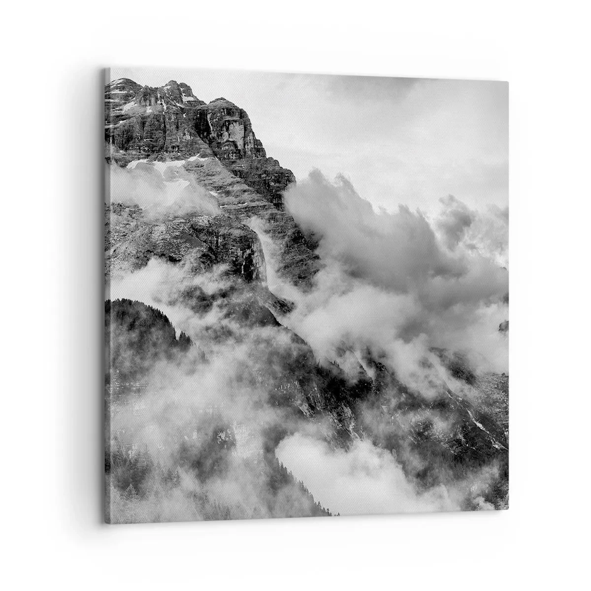 Impression sur toile - Image sur toile - Belle et cruelle - 60x60 cm