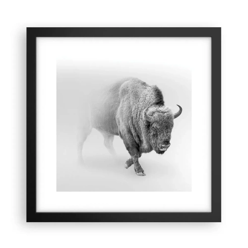 Affiche dans un cadre noir - Poster - Roi de la prairie - 30x30 cm