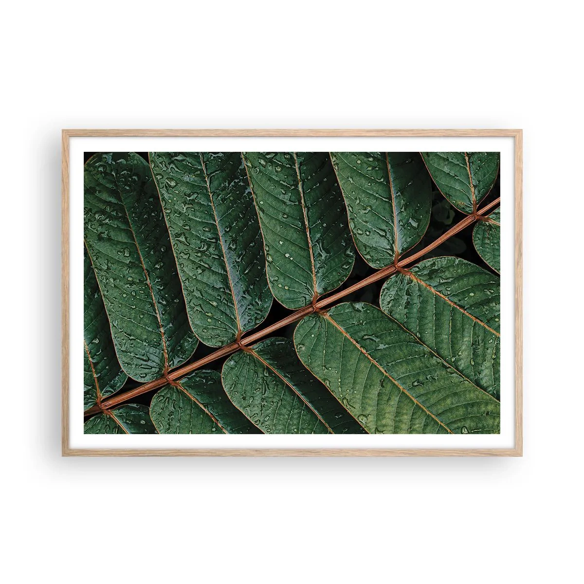 Affiche dans un chêne clair - Poster - Au rythme de la verdure - 100x70 cm